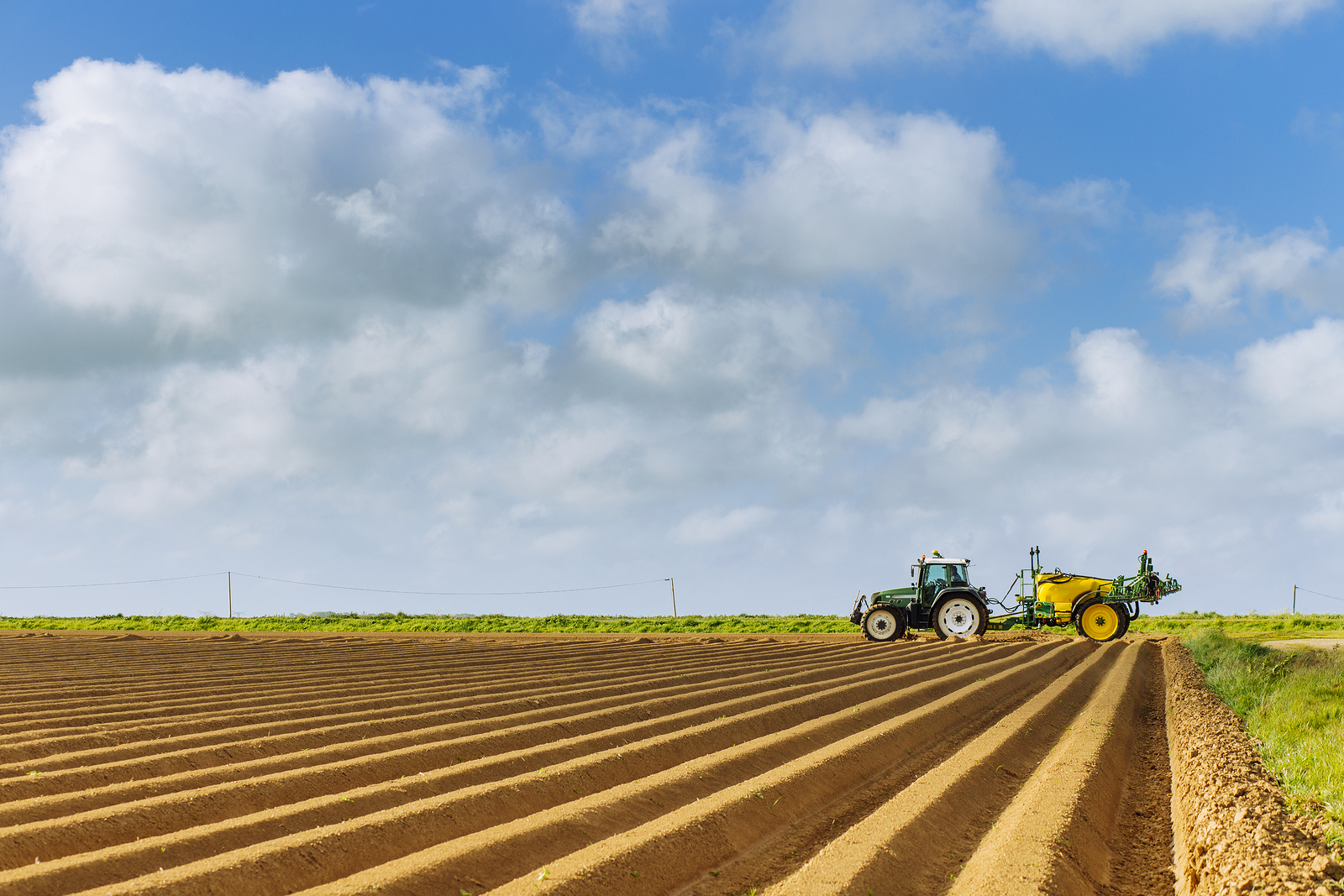 Tilling vs. Plowing: What’s the Difference? | Gonzales Equipment Sales Inc.