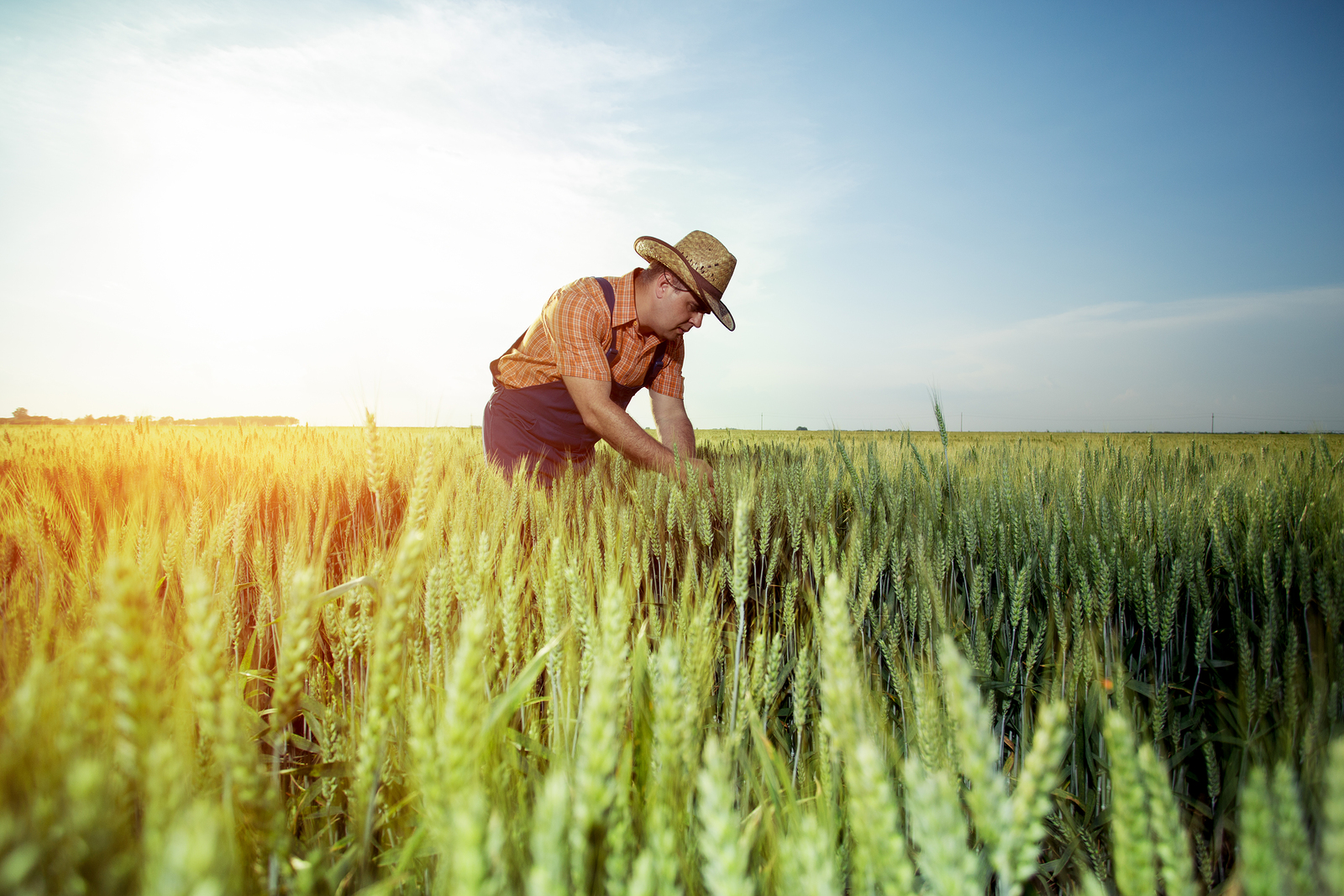 What Is A Livestock Farmer Called